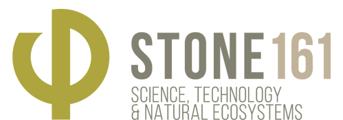 STONE 161